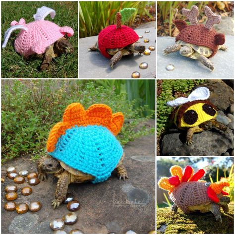 If you have the tortaddiction symptom, you will fall in love of those Katie Bradley creations. As Katie is addicted … Tartaruga Habitat, Cozy Animals, Turtle Care, Tortoise House, Tortoise Enclosure, Turtle Sweaters, Cute Tortoise, Russian Tortoise, Tortoise Care