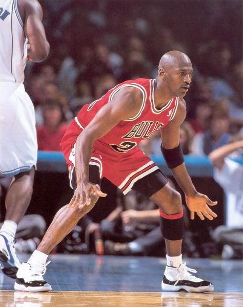 One of the few that liked to DIG IN and play defense Mike Jordan, Jordan Quotes, Michael Jordan Photos, Jeffrey Jordan, Michael Jordan Pictures, Jordan Bulls, Basketball Players Nba, Michael Jordan Basketball, Sport Nutrition