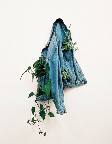 jacket as vessel? Could be more structured Daniel Richter, Adam Parrish, Tattoo Plant, Blue Sargent, Plants Growing, Foto Art, Urban Wear, Vertical Garden, Indoor Planters