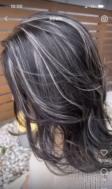 Partial Gray Highlights On Dark Hair, Black Hair With Silver Highlights Long, Blending White Hair Roots, Silver Hair Highlights Going Gray, Grey Highlights On Dark Hair, Hoco Hairstyles Updo, Highlights For Long Hair, White Streak In Hair, Hairstyles For Homecoming