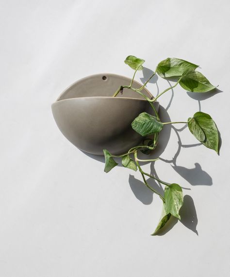 shop your newest wall planter this Friday! #planter #handmade #pottery #plantlover #virginiabeach Pottery Wall Planters, Planter Pottery, Plant Containers, Pottery Wall, Wall Planters, Thrown Pottery, Pottery Planters, Wall Planter, Container Plants