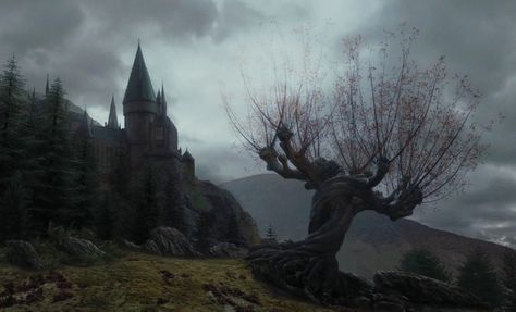 First September, Whomping Willow, Anime Sasuke, Harry Potter Wall, Forbidden Forest, Harry Potter Background, Us Forever, Magical Tree, Hogwarts Aesthetic