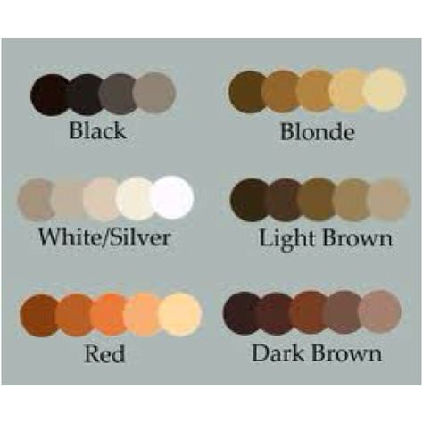 Hair color Hair Colors Drawing Reference, Brunette Hair Color Palette, Hair Shading Color Palette, Dark Brown Hair Color Palette, Brown Hair Color Palette Digital Art, White Hair Pallete, Blonde Hair Color Pallete, Natural Hair Color Palette, Brown Hair Colors Palette