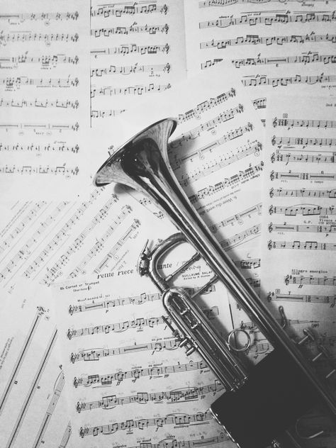 ❤️ Trumpet Background, Trumpet Photography, Trumpet Aesthetic, Trumpet Wallpaper, Reina Kousaka, Play Trumpet, Silver Trumpet, Instruments Art, Trumpet Players