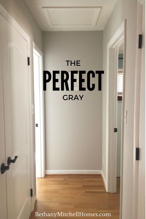 The Perfect Gray // Bethany Mitchell Homes Behr Paint Chic Gray, Gray Room Palette, Living Rooms With Light Gray Walls, Gray Mist Behr Paint, Tranquil Gray Behr Paint, Behr Tranquil Gray, Gratifying Gray Behr, Behr Chic Gray Paint, Toasty Gray Behr Paint