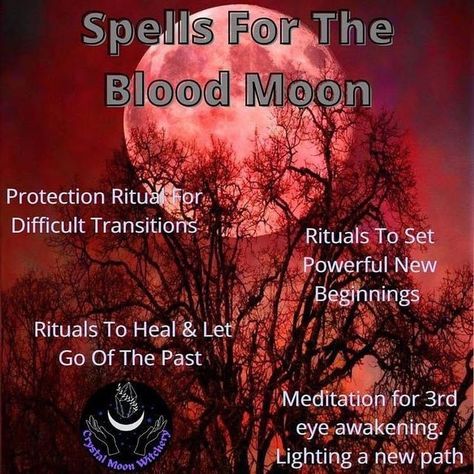 Red Moon Ritual, Blood Magick Witchcraft, Witchy Apps, Blood Moon Rituals, Beginners Witchcraft, Blood Magick, Blood Moon Lunar Eclipse, Blood Moon Eclipse, Lunar Witch