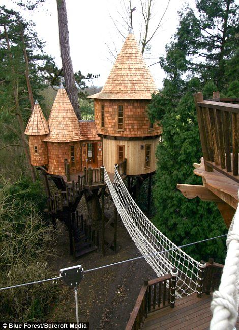 I have Goosebumps, just like the first time I saw the Swiss Family Robinson Tree House at Disney, they had to literally pull me out. Luxury Tree Houses, Tree Fort, Cool Tree Houses, Tree House Designs, Casa Exterior, Tree Houses, Real Tree, High Life, Style At Home