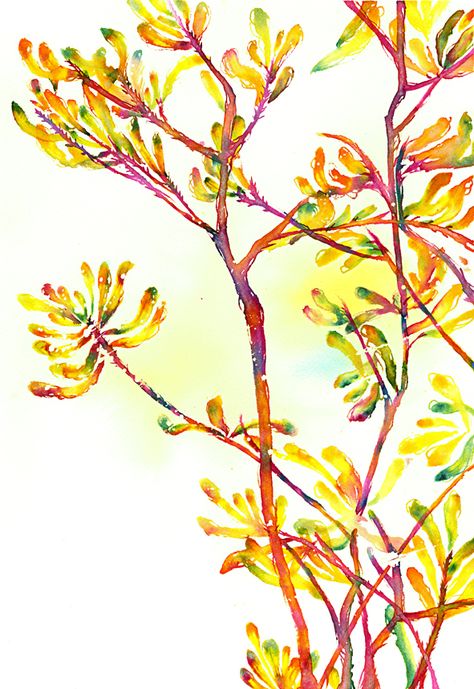 Adriana Picker, Kangaroo Paw Plant, Colour Paper, Kangaroo Paw, Space Gallery, Art Consultant, Plant Painting, Buy Art Online, Art Practice