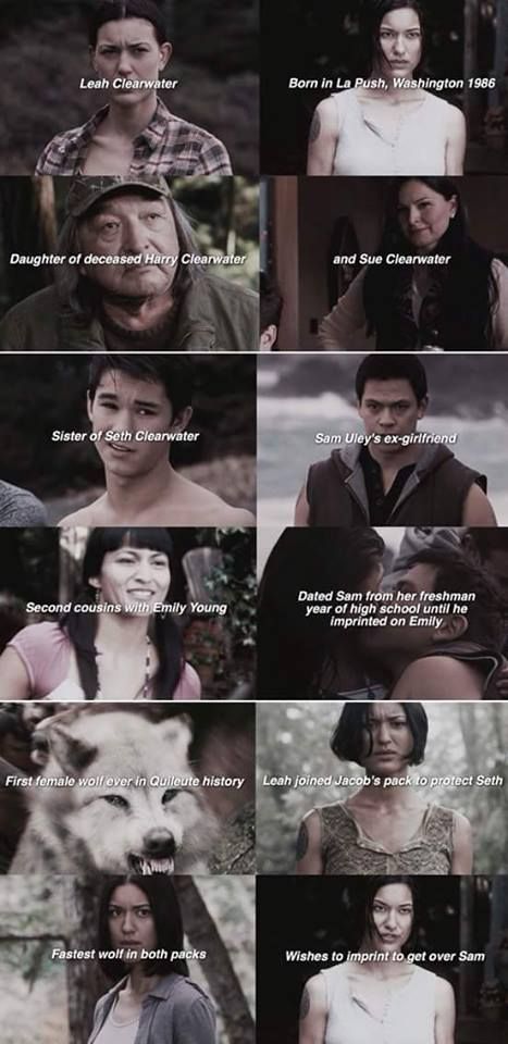 Twilight Wolf Pack Imprint, Twilight Wolf Pack Memes, Leah Clearwater Fanart, Wolf Pack Twilight, Twilight Leah, Twilight Wolves, Twilight Meme, Sam Uley, Twilight Wolf Pack