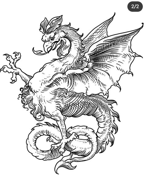 Dragon Engraving Tattoo, Engraving Illustration Medieval, Cockatrice Tattoo, Medieval Engraving Tattoo, Basilisk Tattoo, Dragon Etching, Medieval Dragon Tattoo, Medieval Woodcut Tattoo, Medieval Tattoo Ideas