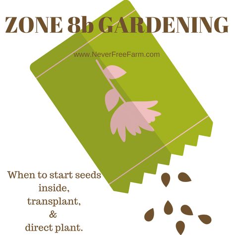 Zone 7 Gardening, Zone 8 Gardening, When To Plant Seeds, Planting Seeds Indoors, Mountain Rain, Fall Crops, Zone 8b, Growing A Garden, Rain Shadow