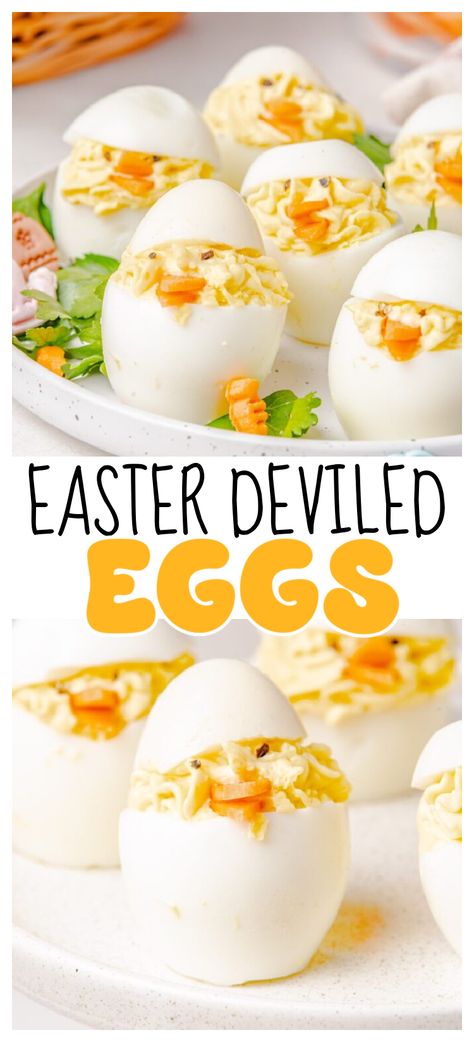 If you are hosting Easter brunch this year, you need to try out these fun and whimsical Easter Deviled Egg Chicks! Deviled Eggs are a classic Easter recipe that you’ll find on almost every Easter brunch table. Easter deviled eggs ideas, Easter deviled eggs recipe, Easter eggs, classic deviled eggs, easter egg recipe, easter deviled egg recipe, easter bunny, egg basket, hard boiled, easter deviled eggs for easter, easter basket. Deviled Eggs Easter, Deviled Egg Chicks, Finger Foods Easy Party, Eggs Deviled, Deviled Egg Recipe, Easter Deviled Eggs, Classic Deviled Eggs, Easter Brunch Table, Easter Food Appetizers