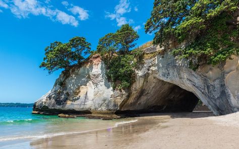 Cathedral Cove, the Coromandel Cathedral Cove, New Zealand Beach, New Zealand Fashion, New Zealand Adventure, New Zealand Food, Beautiful New Zealand, Travel New Zealand, Visit New Zealand, Beach Pink