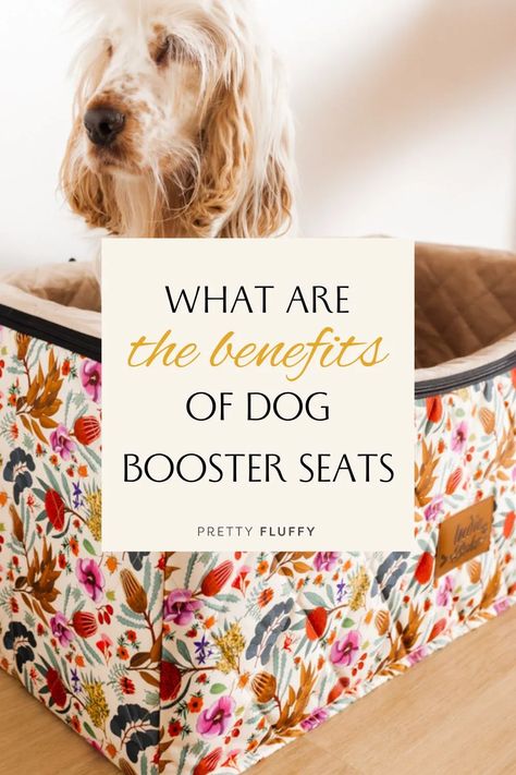 What are the benefits of dog booster seats? Car Seats For Dogs, Dog Car Booster Seat, Car Booster Seat, Pet Booster Seat, Booster Seats, Living With Dogs, Boho Dog, Dog Car Seats, Booster Seat