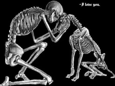 Skeleton Artwork, Miss My Dog, Dog Skeleton, Skeleton Tattoos, Skeleton Art, Funny Wallpaper, Pet Loss, Dog Quotes, Skull Art