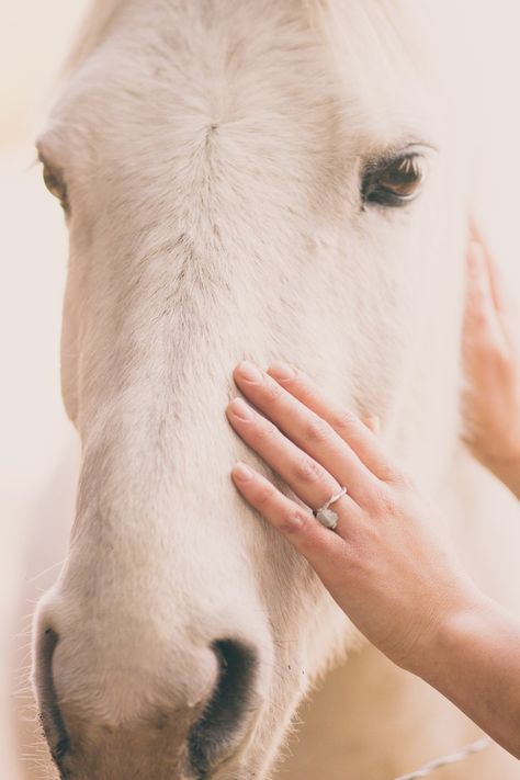 Rebekah and Bret Horse Engagement Photos, Horse Wedding Photos, Horse Couple, Mode Country, Horse Photography Poses, Equestrian Wedding, Wedding Fotos, Horse Wedding, Country Engagement