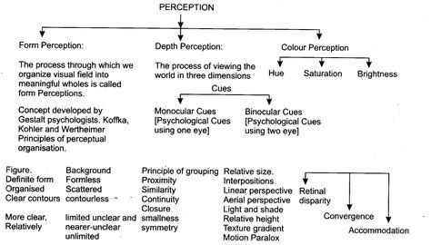 Sensory, Attentional And Perceptual Processes - CBSE Notes for Class 11 Psychology - Learn CBSE Perception Psychology, Social Work Exam, Sense Organs, Psychology A Level, Human Body Worksheets, Grammar Sentences, Introduction To Psychology, Psychology Resources, Vocabulary Flash Cards