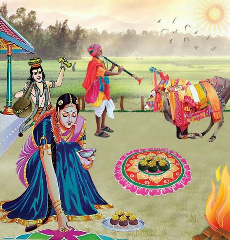 Sankranthi Wishes, Sankranthi Festival, Diwali Painting, Happy Sankranti, Comedy Stories, Festival Paint, Hindi Comedy, India Painting, Indian Illustration