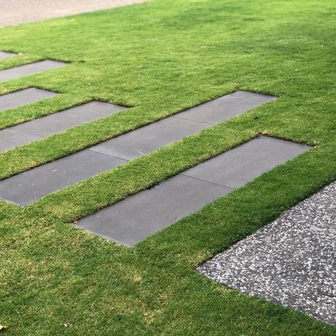 Lee Gray on Instagram: “Lawn envy...... A very clever client installed a LGLD garden himself and it looks wonderful. Here’s a snapshot of the stepping stones.…” Lawn Stepping Stones, Steppers In Lawn, Front Garden Stepping Stones, Modern Stepping Stones, Stepping Stones Pathway In Lawn, Stepping Stones In Grass Lawn, Garden Path Ideas Stepping Stones, Lawn Pathway Ideas, Sleeper Pathway