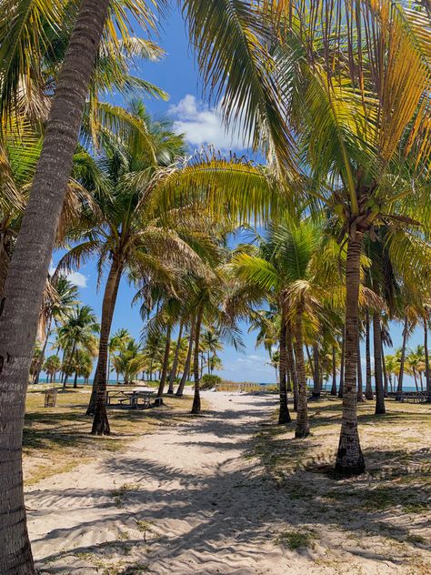 Key Biscayne, Miami Florida, Miami, Florida, Key, Water