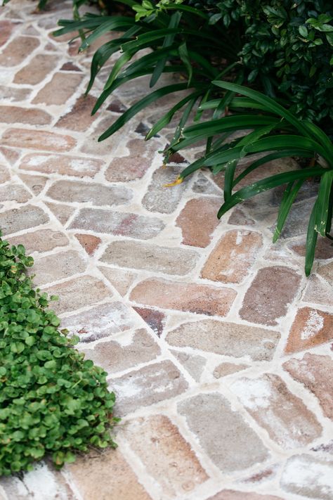 Red Brick Paving, Front Path, Brick Driveway, Eco Outdoor, Ficus Pumila, Brick Pathway, Walkway Landscaping, Outdoor Paving, House Ranch