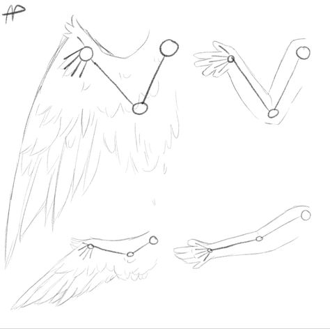 Anatomy Beginner, Drawing Wings, I Was Today Years Old, Drawing Arms, Today Years Old, Arm Drawing, Wings Drawing, Bigger Arms, Broken Arm