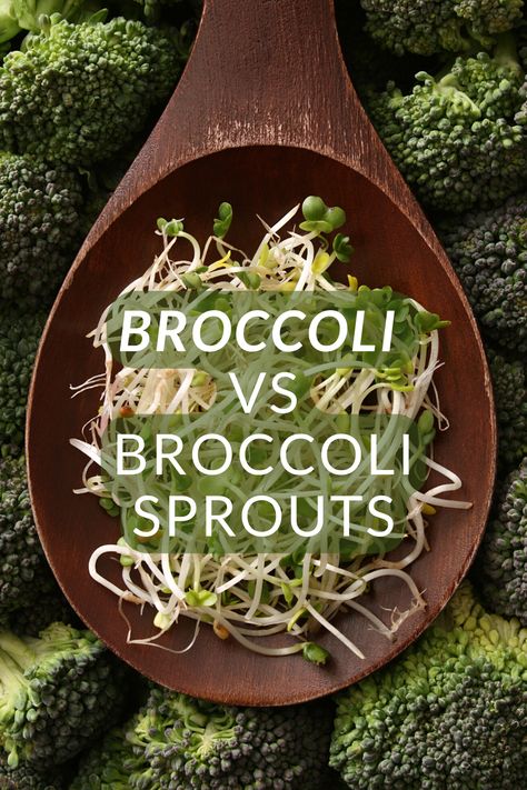 Broccoli sprouts benefits vs broccoli Broccoli Sprouts Benefits, Sprouts Benefits, Raw Broccoli, Broccoli Sprouts, Complete Nutrition, Which Is Better, Nutritional Value, Nutrition Information, Vitamins And Minerals