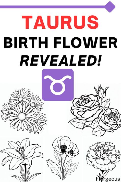 Taurus Birth Flower Taurus Birth Flower Tattoo, Flower For Taurus, April Taurus Aesthetic, Taurus Birth Flower, Taurus Flower Tattoo, Taurus Flower, Virgo And Taurus, Taurus Constellation, Capricorn And Virgo