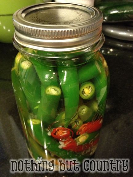 Making Hot Sauce From Fresh Peppers, Pickling Hot Peppers Recipe, Fermented Hot Sauce Recipe, Peppers Pickled, Pepper Harvest, Canning Hot Peppers, Fermented Hot Sauce, Hot Pepper Relish, Pepper Vinegar