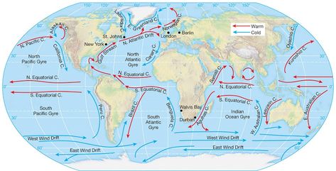 Ocean Currents Map, Flow Drawing, Ocean Lesson Plans, World Geography Map, Ocean Surface, Earth Science Lessons, Ocean Currents, Weather Science, Continents And Oceans