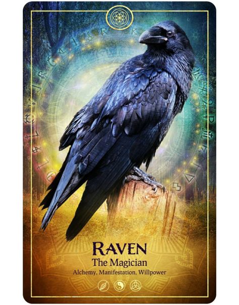 The Ark Animal Tarot & Oracle Deck by Bernadette King — Kickstarter Raven Spirit Animal, Animal Tarot Cards, Spirit Animal Meaning, Animal Tarot, Spirit Animal Totem, Daily Tarot Reading, Animal Spirit Guides, Animal Medicine, Animal Guides