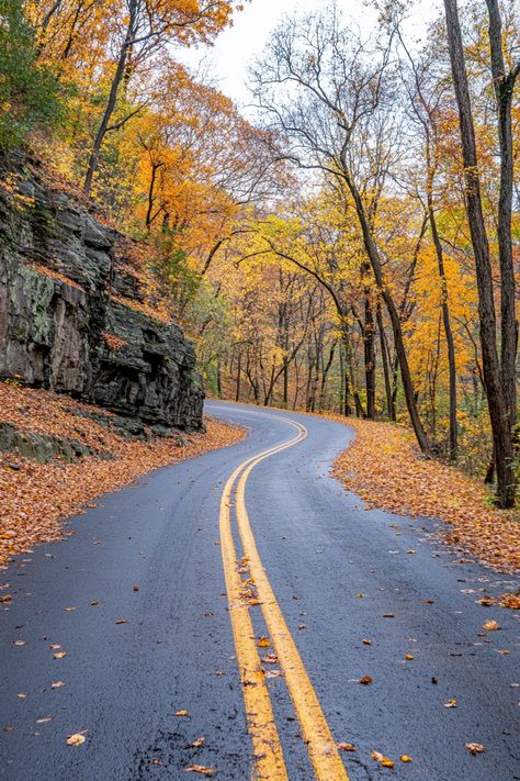 "🌲🚗 Explore the Blue Ridge Parkway! Swipe through our carousel to see lush landscapes, breathtaking views, and fall foliage along this scenic route through the Appalachian Mountains. 🍁🏞️ #BlueRidgeParkway #ScenicDrive #FallFoliage" Blue Ridge Parkway Fall, Blue Ridge Mountain, Secondary Colors, Appalachian Mountains, Blue Ridge Parkway, Scenic Routes, Blue Ridge Mountains, Scenic Drive, Fall Foliage