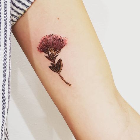 Lehua Tattoo, Lehua Flower, Ohia Lehua, Arizona Tattoo, Leaf Tattoos, Maple Leaf Tattoo, Ink Tattoo, Flower Tattoo, Tattoo Designs