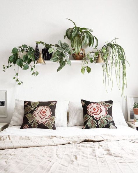 Plants and Greens Plants Above Bed, Shelf Above Bed, Chic Bedroom Design, Lots Of Plants, Plant Shelf, Shabby Chic Bedroom, Bedroom Plants, Country Bedroom, Above Bed