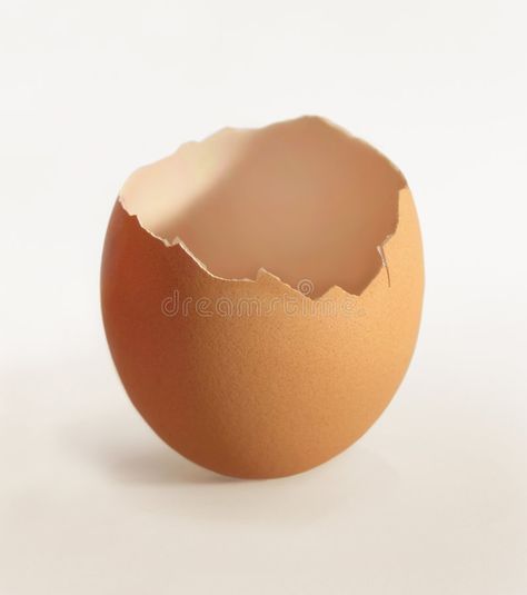 Cracked eggshell. Close-up of an empty eggshell , #SPONSORED, #eggshell, #Cracked, #empty, #Close #ad Egg Reference, Meaningful Images, Cracked Egg, Egg Shell, Drawing Stuff, Mood Board Design, Graphic Design Projects, Egg Shells, Media Post