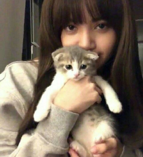 #Lisa #BLACKPINK #cute and #Leo cat Lisa Blackpink Cute, Blackpink Cute, Lily Cat, Pets Drawing, Lisa Bp, Cat Icon, I Love Girls, Perfect Woman, Disney Love