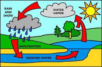 http://fblask.files.wordpress.com/2010/03/400_water_cycle.gif Water Cycle Song, Pictures Of Water, Water Cycle Diagram, Learning French For Kids, The Water Cycle, Classroom Charts, Weather Unit, Matter Science, School Murals