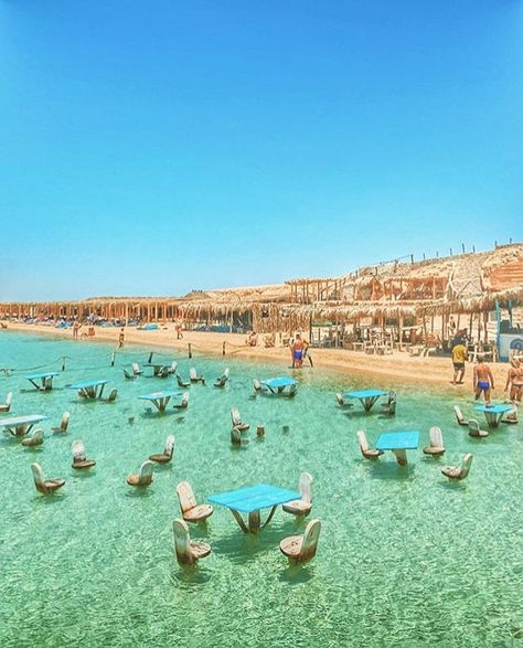 7 Tropical Islands You Won’t Believe Are In Egypt Egypt Facts, History Egypt, Aarti Singh, El Gouna, Lanai Island, 7 Seas, Hurghada Egypt, City Escape, Beach Haven