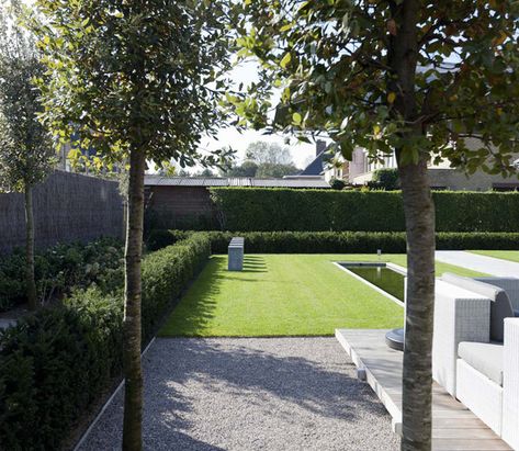 Tree Border, Contemporary Gardens, Contemporary Landscape Design, Landscape Stairs, Modern Landscape Design, Modern Garden Design, Van Damme, Contemporary Garden, Landscape Plans