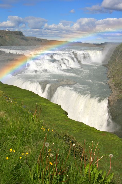 Iceland - Gulfoss Waterfall Iceland, Gullfoss Waterfall, Travel Scandinavia, Iceland Waterfalls, Scandinavia Travel, Visit Iceland, What To Pack, Most Beautiful Places, Scandinavia