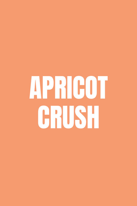 APRICOT CRUSH_PANTONE Apricot Crush Color Aesthetic, Apricot Crush Pantone 2024, Apricot Crush Pantone, Apricot Palette, Apricot Aesthetic, Apricot Crush Color, Peach Crush, 2024 Spring Summer Fashion, Batman Cake Topper