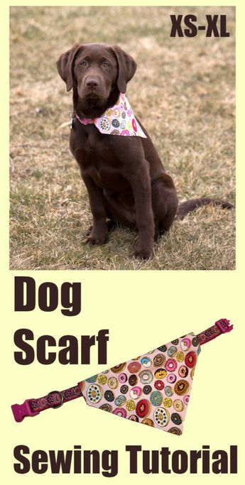 Dog Scarf | Charmed By Ashley Diy Doggie Bandana Free Pattern, Sewing Projects For Dogs, Diy Dog Bandana, Handmade Dog Accessories, Dog Neckerchief, Scarf Tutorial, Dog Scarf, Pet Scarf, Fabric Canvas