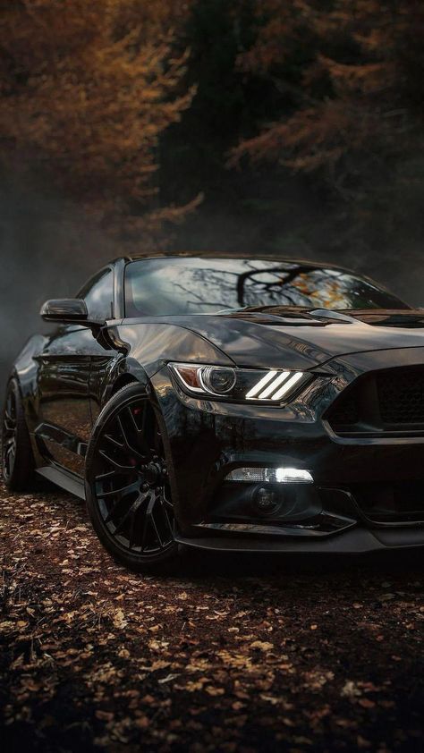 Ford Wallpaper, Fort Mustang, 2018 Mustang Gt, Mustang Car Aesthetic, Mustang Tuning, Most Reliable Suv, Ford Mustang Wallpaper, 2024 Ford Mustang, Mustang Wallpaper