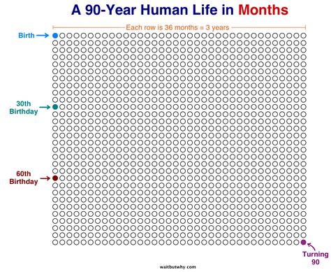 A Human Life in Months - what are you using your time for? (Tim Urban TED Talks) Life Calendar, Free Calendar Template, Bad Week, This Is Your Life, Free Calendar, Countdown Calendar, How To Stop Procrastinating, Positive Emotions, But Why