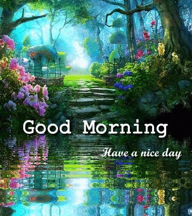 Have A Nice Day Quotes, Nice Day Quotes, Animated Good Morning, Good Morning Gifs, Gif Good Morning, Morning Reflection, Morning Gifs, Morning Gif, Good Morning Gif