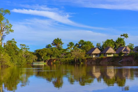 Discover the best tours in Iquitos, Peru including 3-Day Amazon Jungle Tour at Sinchicuy Lodge, 3-Day Iquitos Amazon Jungle Adventure at Heliconia Lodge, Tamishiyacu Reserve, Curassow Amazon Lodge 3-Day Wildlife Tour. Iquitos Peru, Backpacking Peru, Peru Culture, Hiking Peru, Peru Beaches, Travel Peru, Eco Lodge, Nature Tour, Jungle Adventure