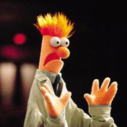 Beaker Beaker The Muppets, The Muppets Beaker, Beaker From The Muppets, Beaker Muppets Wallpaper, Beaker Muppets Funny, The Muppets Aesthetic, Muppet Aesthetic, Muppet Oc, Muppet Beaker