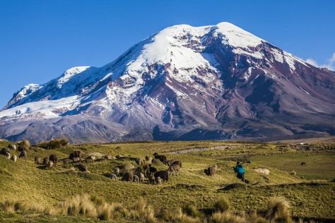 10 Fascinating Facts About the Andes Mountains Top Of Mount Everest, The Andes Mountains, Lake Titicaca, Andes Mountains, Active Volcano, White Water Rafting, Blue Ridge Mountains, Quito, Beautiful Mountains