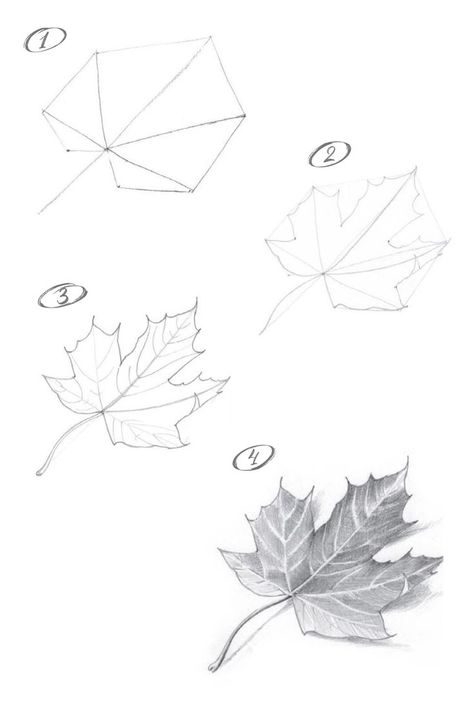 Leaves Sketch, Tutorial Painting, Pencil Drawings For Beginners, Desain Quilling, Flower Drawing Tutorials, Nature Art Drawings, Cool Pencil Drawings, Leaf Drawing, Sketches Tutorial