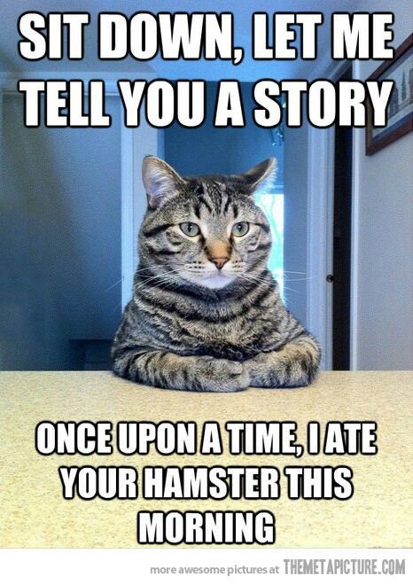 Once upon a time I ate your hamster this morning. Humor Animal, Cat Shaming, A Hamster, Silly Animals, Cat Quotes, E Card, Zulu, Animal Quotes, Funny Animal Pictures